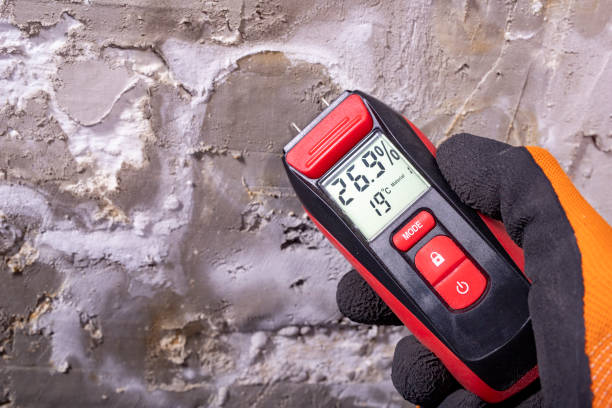 Best Mold Removal Company Near Me  in Aragon, GA