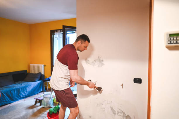 Best Professional Mold Removal  in Aragon, GA